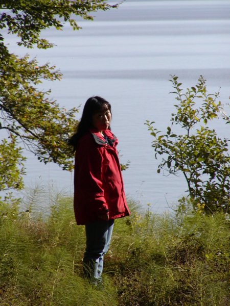 Photograph